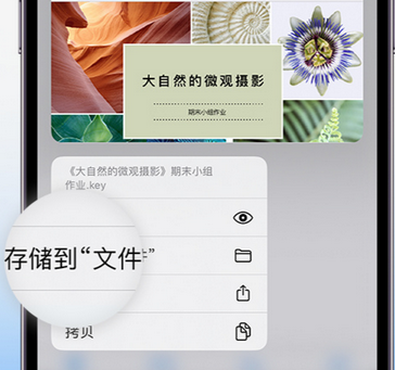 昭觉apple维修中心分享iPhone文件应用中存储和找到下载文件