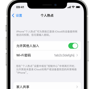 昭觉apple服务站点分享iPhone上个人热点丢失了怎么办