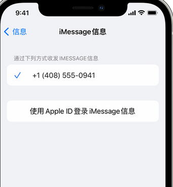 昭觉apple维修iPhone上无法正常发送iMessage信息