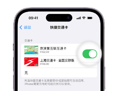 昭觉apple维修点分享iPhone上更换Apple Pay快捷交通卡手绘卡面 