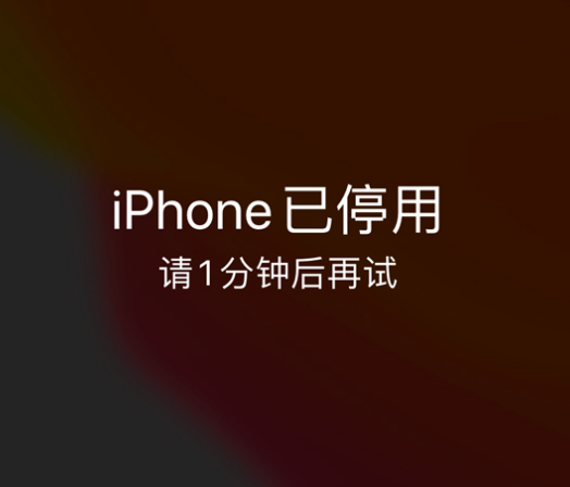 昭觉苹果手机维修分享:iPhone 显示“不可用”或“已停用”怎么办？还能保留数据吗？ 