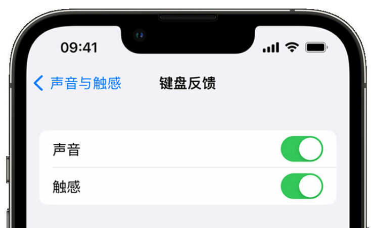 昭觉苹果手机维修分享iPhone 14触感键盘使用方法 