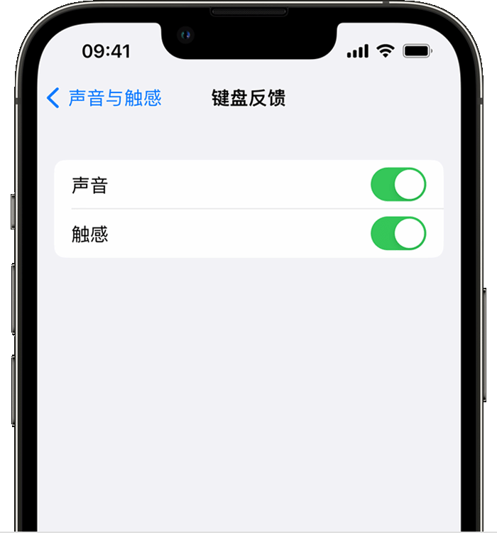 昭觉苹果14维修店分享如何在 iPhone 14 机型中使用触感键盘 