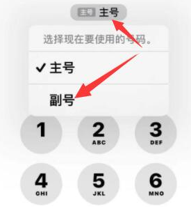 昭觉苹果14维修店分享iPhone 14 Pro Max使用副卡打电话的方法 