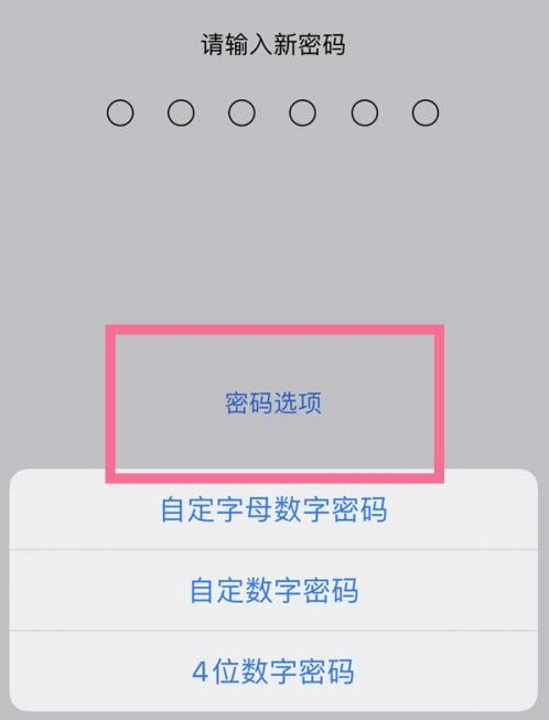 昭觉苹果14维修分享iPhone 14plus设置密码的方法 