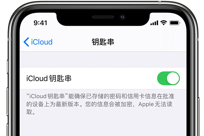 昭觉苹果手机维修分享在 iPhone 上开启 iCloud 钥匙串之后会储存哪些信息 